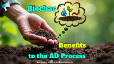 Benefits of biochar -article - featured image.
