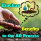 Benefits of biochar -article - featured image.