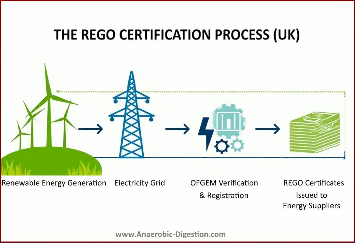 The REGOs Scheme certification process: An infographic.