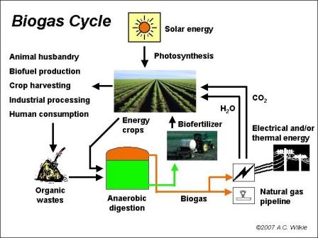 The biogas cycle solves many problems so it's not surprising Biogas Digester Market Trends or up.