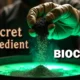 Biochar in Anaerobic Digestion - Poster the Secret Ingredient