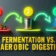 DRY FERMENTATION VS. WET ANAEROBIC DIGESTION featured image