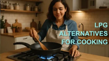 Featured image for article LPG Alternatives for Cooking
