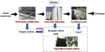 “Starch Wastewater Treatment Processes” from www.sciencedirect.com “Starch Wastewater Treatment Processes” from www.sciencedirect.com