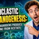 Featured image for article with the text: Acetoclastic Methanogenesis How Methanogens Produce Methane from Acetate.
