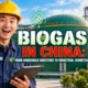 Featured image with text: Biogas in China From Household Digesters to Industrial Biomethane.