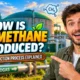 How Is Biomethane Produced The Production Process Explained