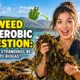 Featured image with the text: Seaweed Anaerobic Digestion Can Beach Strandings Be Turned into Biogas.